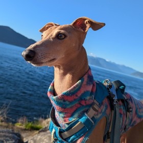 Oscar